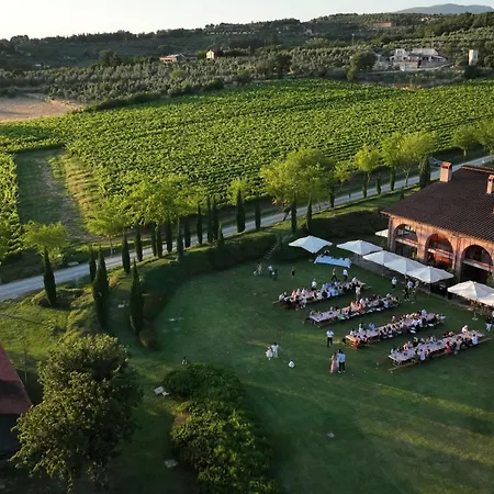 Il Palazzo - Agriturismo, Winery-2